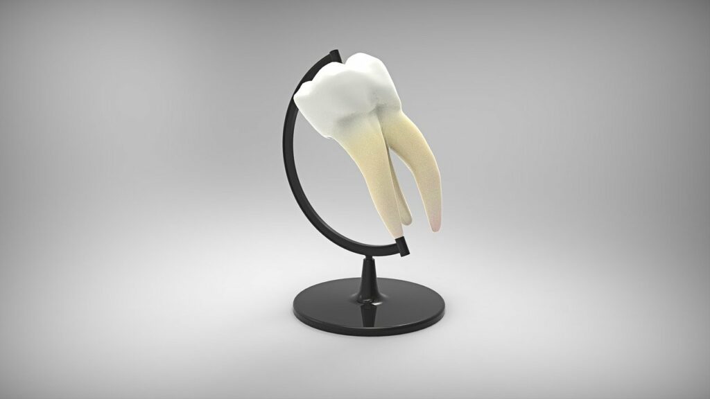 globus, tooth, dentistry-2876182.jpg